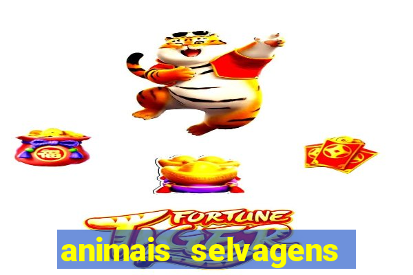 animais selvagens fotos e nomes